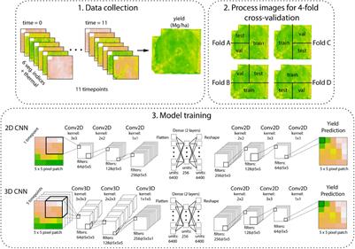 Detecting Intra-Field Variation in Rice Yield With Unmanned Aerial Vehicle Imagery and Deep Learning